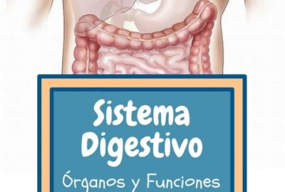 Proyecto salud 6 grado Ciencias Naturales 4/5/20