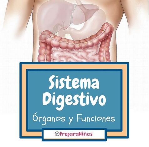 20-4 Ciencias Naturales     6 grado