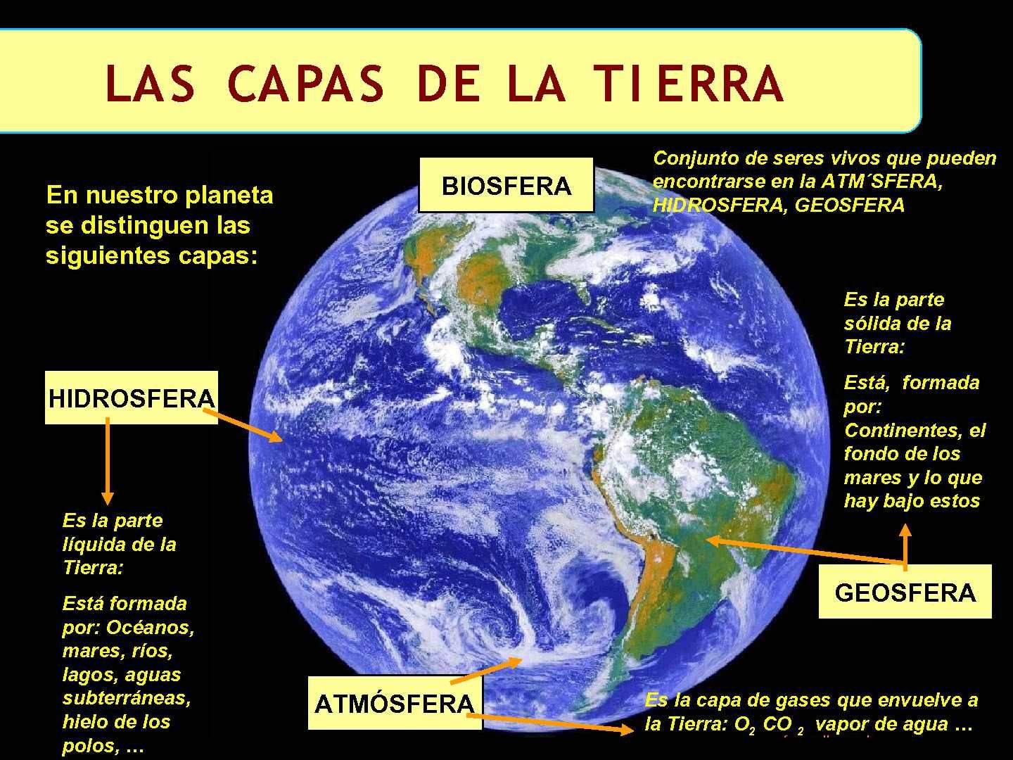 Actividades de Ciencias Naturales. Seño Paola